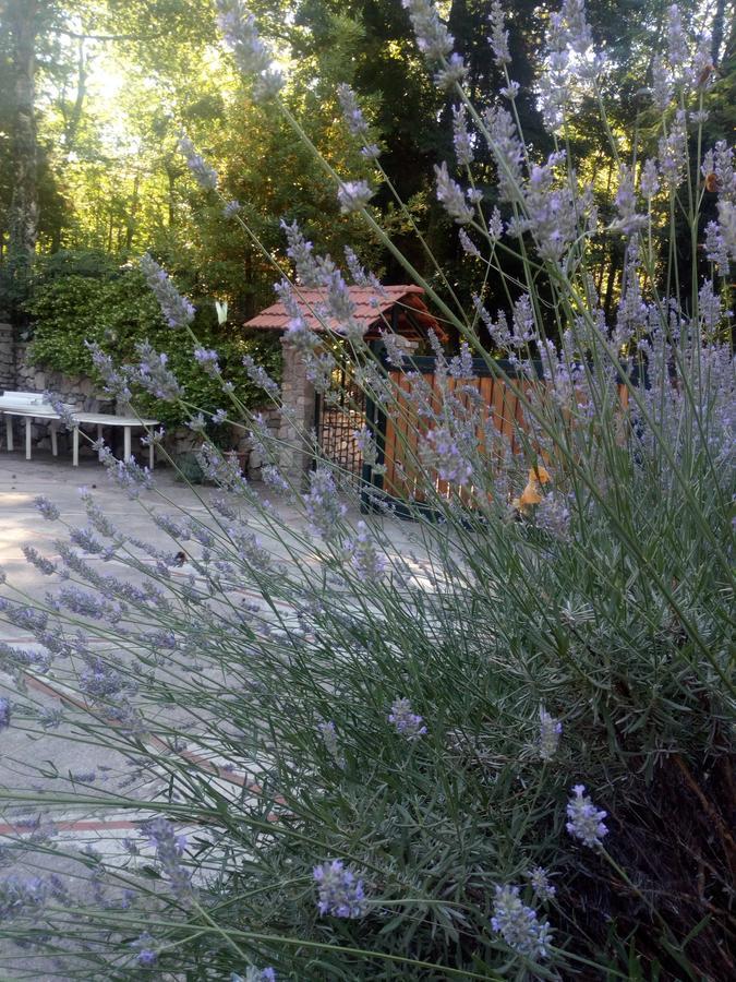 Al Castagno Bed and Breakfast Vico Equense Εξωτερικό φωτογραφία