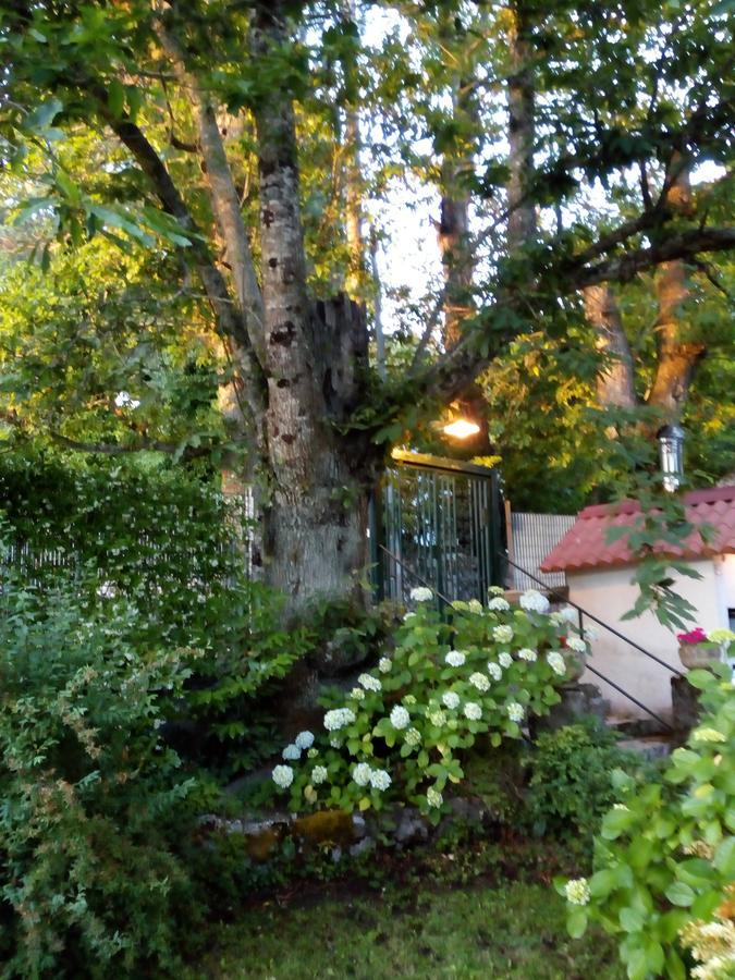 Al Castagno Bed and Breakfast Vico Equense Εξωτερικό φωτογραφία